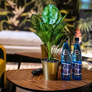 Apartament Jungle Podwale, Wrocław